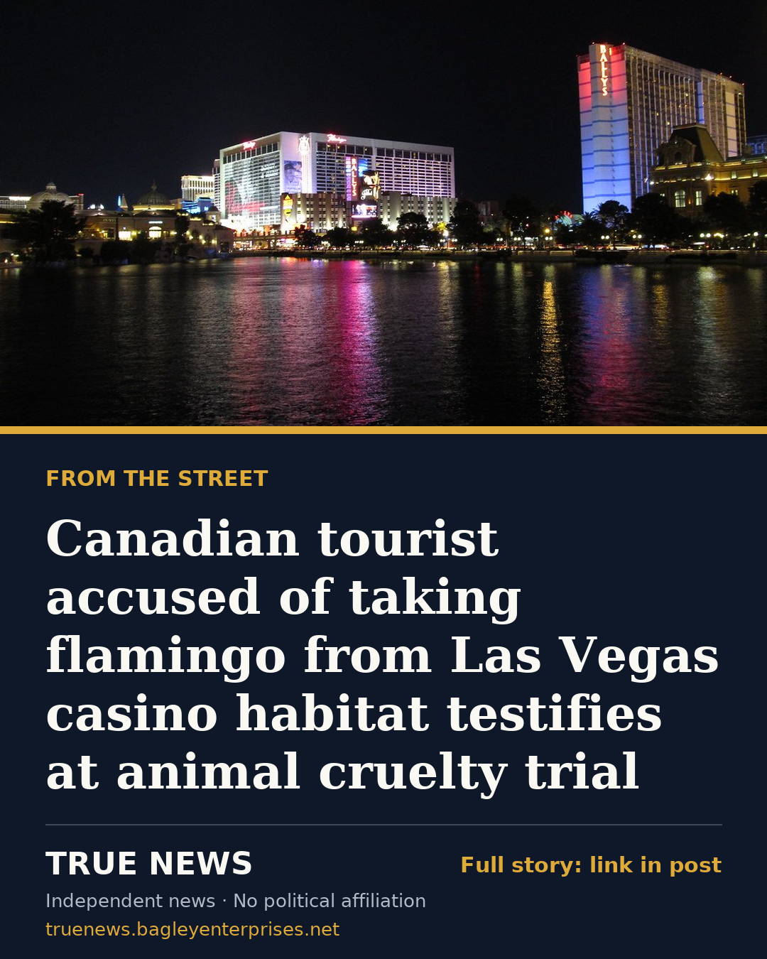 Share card: Canadian tourist accused of taking flamingo from Las Vegas casino habitat testifies at animal cruelty trial