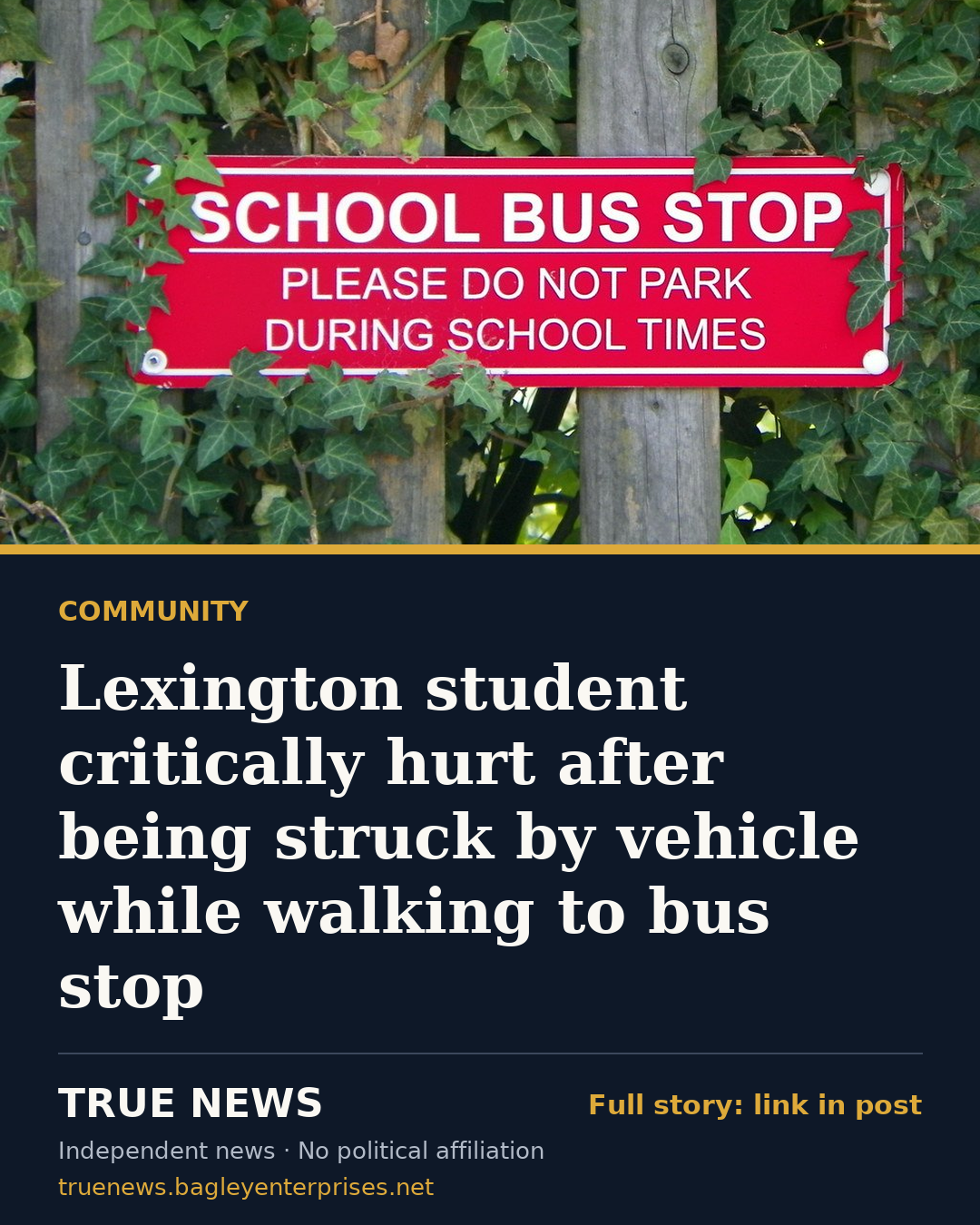 Share card: Lexington student critically hurt after being struck by vehicle while walking to bus stop