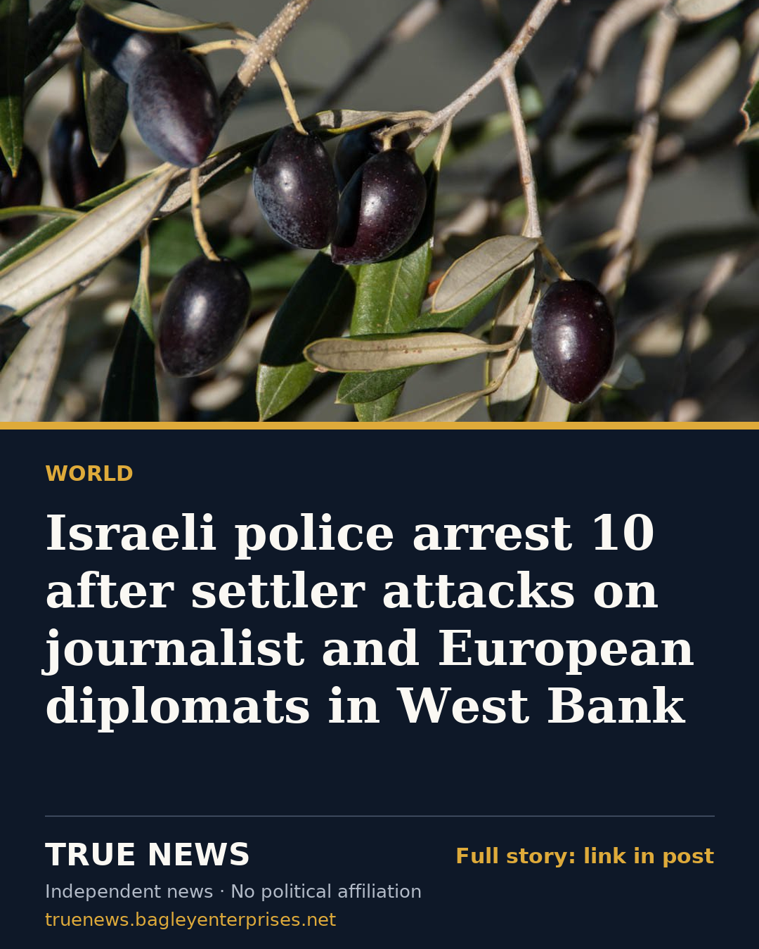 Share card: Israeli police arrest 10 after settler attacks on journalist and European diplomats in West Bank