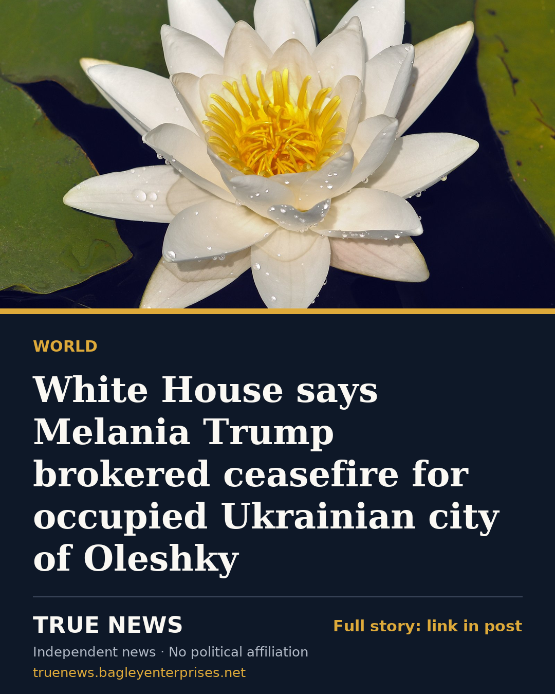 Share card: White House says Melania Trump brokered ceasefire for occupied Ukrainian city of Oleshky